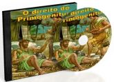 DIREITO DE PRIMOGENITURA